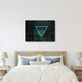 Tablou pe sticlă - Triunghi de neon în junglă (70x50 cm)