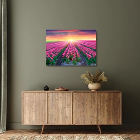 Tablou pe sticlă cu câmp de lalele cu soare (70x50 cm)