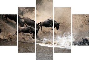 Tablou - Turmă de gnu (150x105 cm)