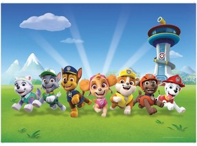 Suport farfurie pentru copii Paw Patrol, 42 x 30 cm