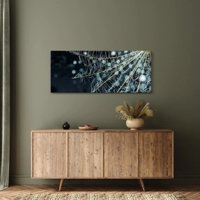 Tablou - Floare cu pânză de pâianjen (120x50 cm)