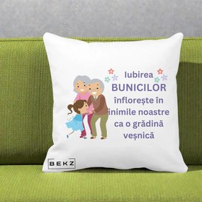 Cadou pentru Bunici - Perna Personalizata Bunicii Iubirea Infloreste Bunici cu Nepoata Colorat, 40x40 cm, Alba Mata, Husa Detasabila, Perna Inclusa, BEKZ®