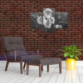 Tablou - Iarba de bumbac (90x60 cm)