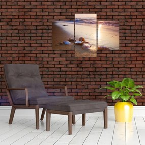 Tablou - Scoici (90x60 cm)