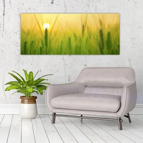 Tablou - Câmp cu cereale (120x50 cm)