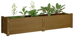 Strat inaltat de gradina maro miere 150x31x31 cm lemn masiv pin 1, maro miere