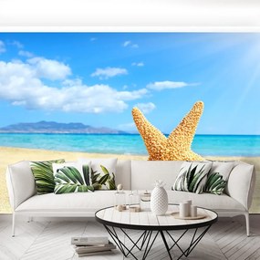 Fototapet Stea de mare. plajă