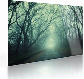 Tablou pe sticlă - Alee cu copaci (70x50 cm)