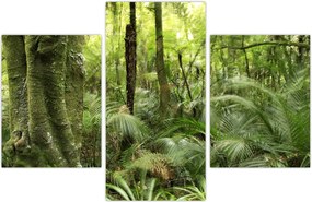 Tablou - Pădure tropicală (90x60 cm)