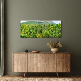 Tablou - Babi Hora, Polonia (120x50 cm)