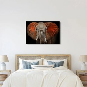 Tablou - Elefanți cu Tsavo (90x60 cm)