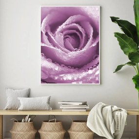 Poster - Trandafir (A4)