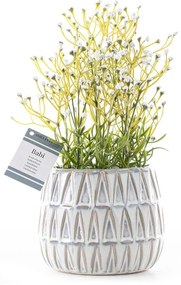 Plantă artificială (înălțime 27 cm) Babi – AmeliaHome