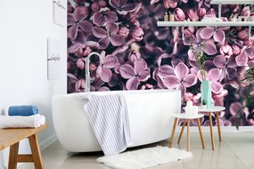 Fototapet flori violete de liliac
