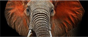 Tablou - Elefanți cu Tsavo (120x50 cm)