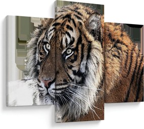 Tablou cu tigrul (90x60 cm)