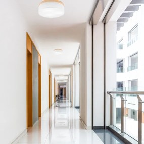 Plafonieră Brilagi BELLADONNA 3xE27/15W/230V d. 50 cm alb/pin