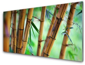 Tablouri acrilice Bamboo Natura Galben
