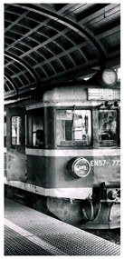 Fototapeta pentru ușă - tren (95x205cm)