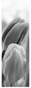 Fotojaluzele R012127R42150 (42x150 cm)