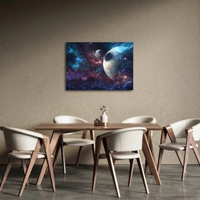Tablou cu cosmos (70x50 cm)