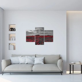 Tablou cu maci (90x60 cm)