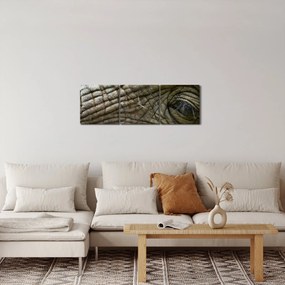 Tablou - Prim-planul ochiului de elefant vechi (cu ceas) (90x30 cm)