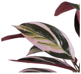 Plantă artificială (înălțime 55 cm) Bird of Paradise – Ixia