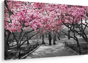 Tablou copacului magnolie (90x60 cm)