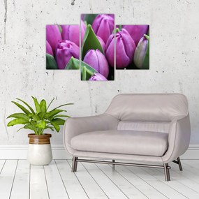 Tablou - florile lalelelor (90x60 cm)