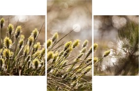 Tablou - Verde (90x60 cm)