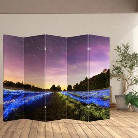 Paravan - Câmp colorat (210x170 cm)