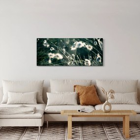 Tablou - Pânză de păianjen (120x50 cm)