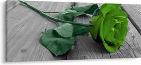 Tablou - Trandafir verde (120x50 cm)