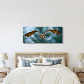 Tablou -Bufnita în zbor (120x50 cm)