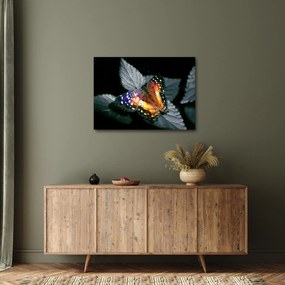 Tablou cu fluture (70x50 cm)