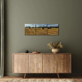 Tablou cu câmp recoltat (cu ceas) (90x30 cm)