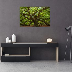 Tablou - Copac verde (90x60 cm)