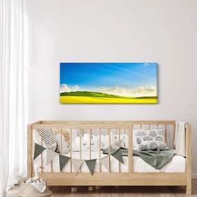 Tablou - Cerul de primăvară (120x50 cm)