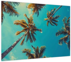 Tablou - Palmieri înalți (70x50 cm)