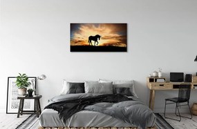 Tablouri canvas apus de soare Unicorn