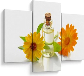Tablou cu ulei de flori (90x60 cm)