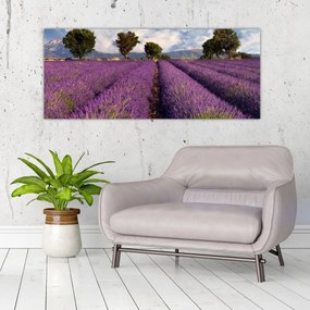 Tablou - câmp de lavandă și munți (120x50 cm)