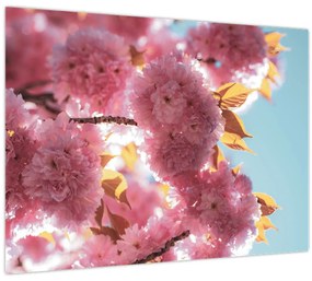 Tablou - Floare de cireș (70x50 cm)