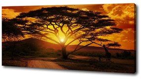 Tablou pe pânză Africa de vest