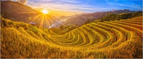 Tablou - Terasele de orez din Vietnam (120x50 cm)