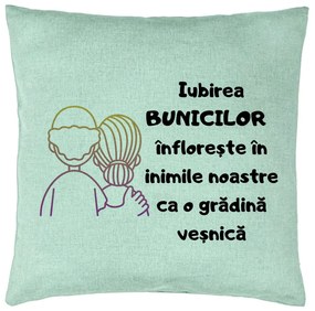 Perna Decorativa pentru Bunici 10, 40x40 cm, Verde Menta, Husa Detasabila, Burduf