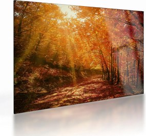 Tablou pe sticlă cu pădurea în toamnă (70x50 cm)