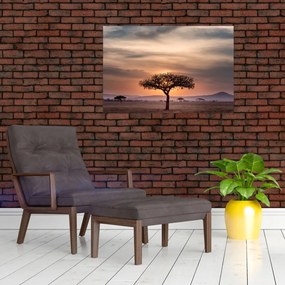 Tablou apusului de soare în Tanzania (90x60 cm)