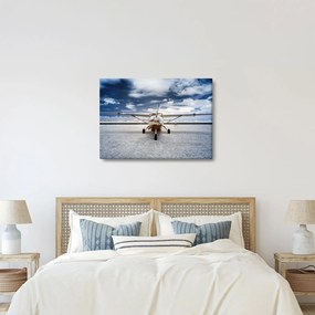 Tablou cu aeroplan cu motor (70x50 cm)